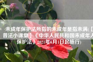 未成年保护法所指的未成年是指未满(【普法小课堂】《中华人民共和国未成年人保护法》2021年6月1日起施行)