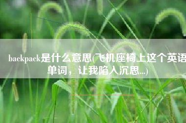 backpack是什么意思(飞机座椅上这个英语单词，让我陷入沉思...)