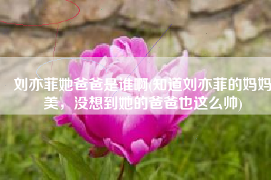 刘亦菲她爸爸是谁啊(知道刘亦菲的妈妈美，没想到她的爸爸也这么帅)