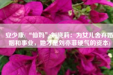 安少康(“仙妈”刘晓莉：为女儿舍弃婚姻和事业，她才是刘亦菲硬气的资本)