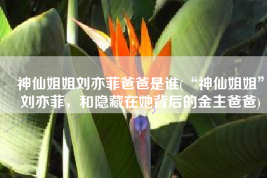 神仙姐姐刘亦菲爸爸是谁(“神仙姐姐”刘亦菲，和隐藏在她背后的金主爸爸)