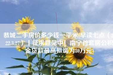 恭城二手房价多少钱一平米(早读七点（2022.3.27）丨征求意见中！南宁首套房公积金贷款最高拟调为80万元)