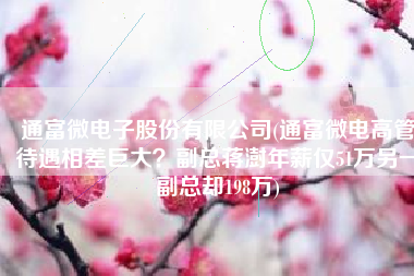通富微电子股份有限公司(通富微电高管待遇相差巨大？副总蒋澍年薪仅51万另一副总却198万)