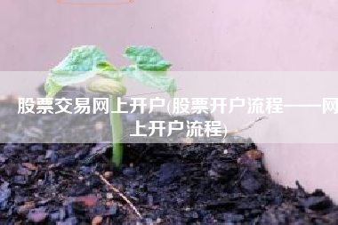 股票交易网上开户(股票开户流程——网上开户流程)