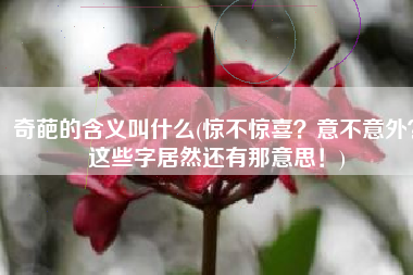 奇葩的含义叫什么(惊不惊喜？意不意外？这些字居然还有那意思！)
