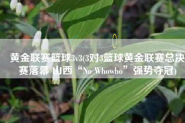 黄金联赛篮球3v3(3对3篮球黄金联赛总决赛落幕 山西“No Whowho”强势夺冠)