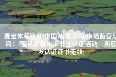赛宝体系认证(中国)有限公司(市场监管总局：4家认证机构涉非法认证活动 所颁发认证证书无效)