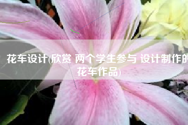 花车设计(欣赏 两个学生参与 设计制作的花车作品)