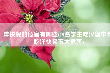 洋快餐的危害有哪些(19名学生吃汉堡中毒 吃洋快餐五大危害)
