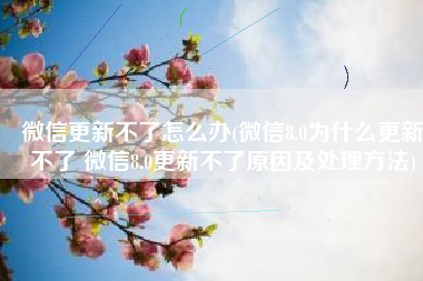 微信更新不了怎么办(微信8.0为什么更新不了 微信8.0更新不了原因及处理方法)