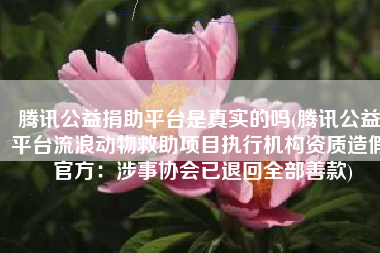 腾讯公益捐助平台是真实的吗(腾讯公益平台流浪动物救助项目执行机构资质造假 官方：涉事协会已退回全部善款)