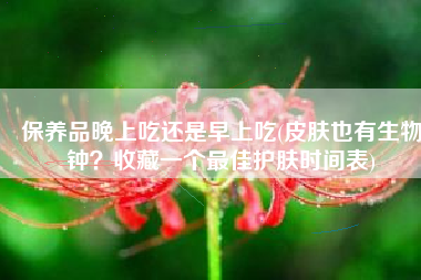 保养品晚上吃还是早上吃(皮肤也有生物钟？收藏一个最佳护肤时间表)