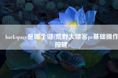 backspace是哪个键(荒野大镖客pc基础操作按键)