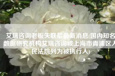 艾瑞咨询老板失联后最新消息(国内知名数据研究机构艾瑞咨询被上海市青浦区人民法院列为被执行人)