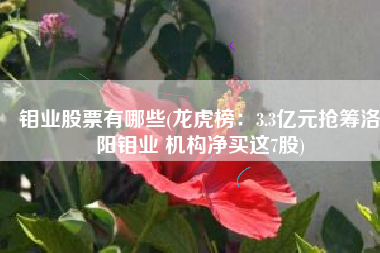 钼业股票有哪些(龙虎榜：3.3亿元抢筹洛阳钼业 机构净买这7股)