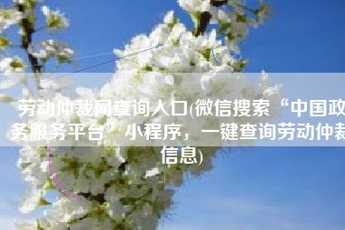劳动仲裁网查询入口(微信搜索“中国政务服务平台”小程序，一键查询劳动仲裁信息)