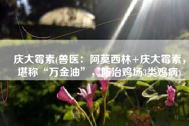 庆大霉素(兽医：阿莫西林+庆大霉素，堪称“万金油”，防治鸡场3类鸡病)