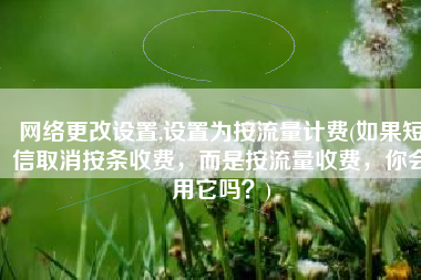 网络更改设置,设置为按流量计费(如果短信取消按条收费，而是按流量收费，你会用它吗？)