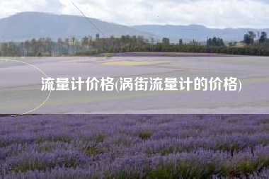 流量计价格(涡街流量计的价格)