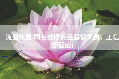 流量收费(网友吐槽流量套餐太贵，工信部回应)