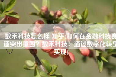 数禾科技怎么样 知乎(如何在金融科技赛道突出重围？数禾科技：通过数字化转型实现)
