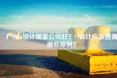 广州vi设计哪家公司好？VI设计应该遵循哪些原则？