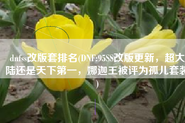 dnfss改版套排名(DNF:95SS改版更新，超大陆还是天下第一，娜迦王被评为孤儿套装)