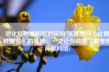 池化层和卷积层的区别(深度学习（计算机视觉）的基础：一文让你彻底了解卷积神经网络)