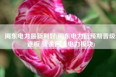 闽东电力最新利好(闽东电力超预期晋级5连板 资金回流电力板块)