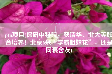 ptn项目(保研中科院，获清华、北大等联合培养！北京6朵“学霸姐妹花”，还是同寝舍友)