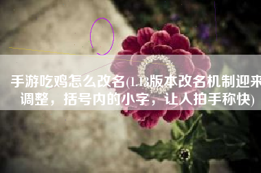 手游吃鸡怎么改名(1.13版本改名机制迎来调整，括号内的小字，让人拍手称快)