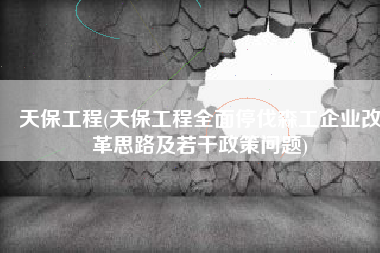 天保工程(天保工程全面停伐森工企业改革思路及若干政策问题)
