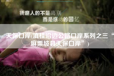 天保口岸(滇桂沿边公路口岸系列之三“麻栗坡县天保口岸”)