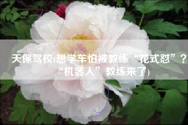 天保驾校(想学车怕被教练“花式怼”？“机器人”教练来了)