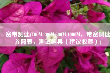 宽带测速(100M,200M,500M,1000M，带宽测速参照表，测试结果（建议收藏）)