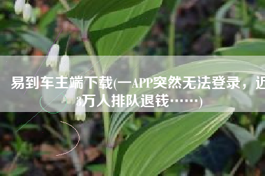 易到车主端下载(一APP突然无法登录，近3万人排队退钱……)