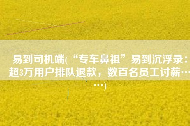 易到司机端(“专车鼻祖”易到沉浮录：超3万用户排队退款，数百名员工讨薪……)