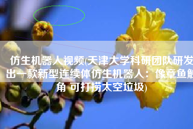 仿生机器人视频(天津大学科研团队研发出一款新型连续体仿生机器人：像章鱼触角 可打捞太空垃圾)