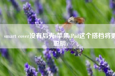 smart cover没有后壳(苹果iPad这个搭档将更聪明)