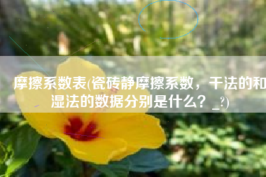 摩擦系数表(瓷砖静摩擦系数，干法的和湿法的数据分别是什么？_?)