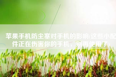 苹果手机防尘塞对手机的影响(这些小配件正在伤害你的手机，别再使用了)