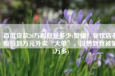 百度贷款20万利息是多少(警惕！餐饮店老板接到万元外卖“大单”，没想到竟被骗5万多)