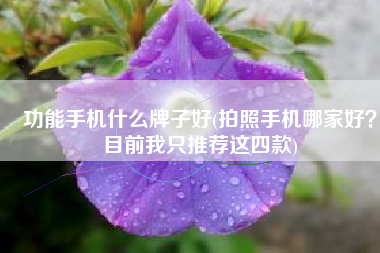 功能手机什么牌子好(拍照手机哪家好？目前我只推荐这四款)