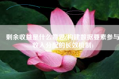 剩余收益是什么意思(构建数据要素参与收入分配的长效机制)