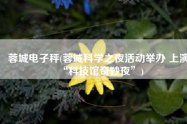 蓉城电子秤(蓉城科学之夜活动举办 上演“科技馆奇妙夜”)