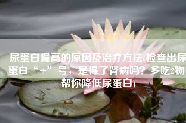 尿蛋白偏高的原因及治疗方法(检查出尿蛋白“+”号，是得了肾病吗？多吃2物，帮你降低尿蛋白)
