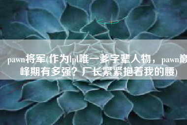 pawn将军(作为lpl唯一爹字辈人物，pawn巅峰期有多强？厂长紧紧抱着我的腰)