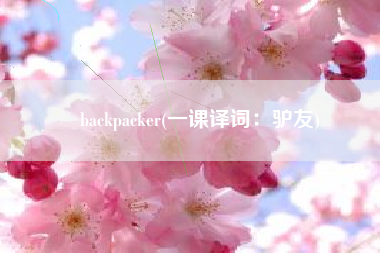 backpacker(一课译词：驴友)