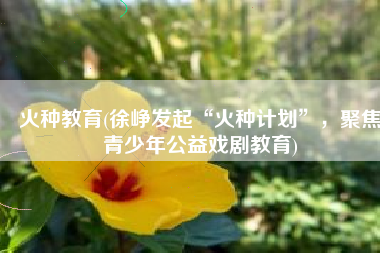 火种教育(徐峥发起“火种计划”，聚焦青少年公益戏剧教育)