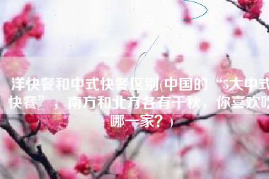 洋快餐和中式快餐区别(中国的“5大中式快餐”，南方和北方各有千秋，你喜欢吃哪一家？)